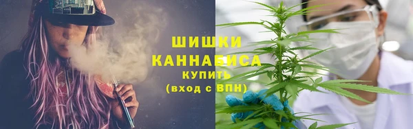 первитин Богородицк