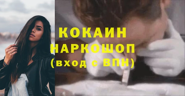 эйфоретик Богданович