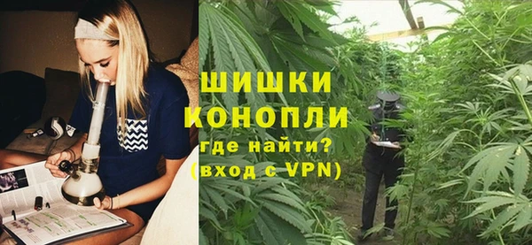 эйфоретик Богданович