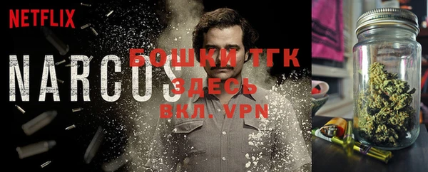 первитин Богородицк