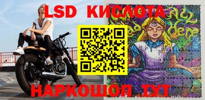 прущие грибы Кунгур