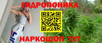 прущие грибы Кунгур