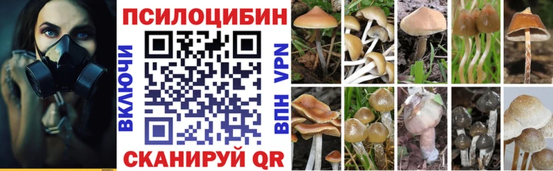 Галлюциногенные грибы прущие грибы  Горно-Алтайск 