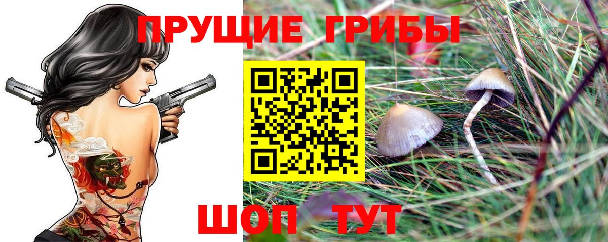 Галлюциногенные грибы мицелий Горно-Алтайск