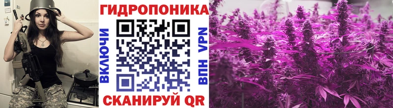 дарнет шоп  Горно-Алтайск  Бошки марихуана THC 21% 